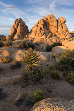 Joshua Tree National Park, Mojave çöl, Kaliforniya, ABD. Gün batımında Jumbo kayalar. Güzel manzara arka plan