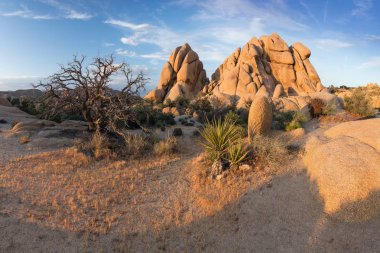 Joshua Tree National Park, Mojave çöl, Kaliforniya, ABD. Gün batımında Jumbo kayalar. Güzel manzara arka plan