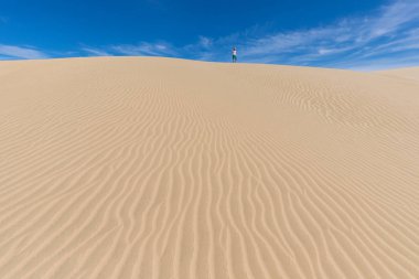 Sabah Erken Güneş ışığı Kum Tepeleri Ve Mesquite düz tepelerde Dağlar, Death Valley Milli Parkı, California Abd Soba Kuyuları kum tepeleri, kum güzel arka plan çok güzel yapılar