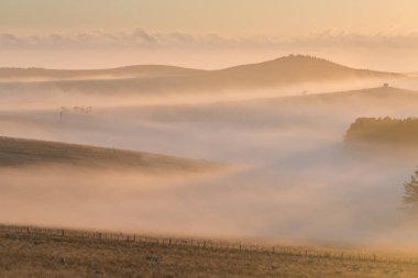 Güneşin sis ve ağaçların arasından güzel ışık ışınları yla bir ormanda sıcak sonbahar veya yaz manzarası Tepenin tepesinde gün doğumu manzarasında güneş ışığı yla parlayan ormanın görkemli görünümü 