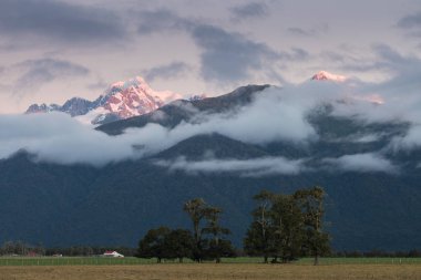 Çayırlarda gün batımı Tilki Buzulu / Te Moeka o Tuawe. Yeni Zelanda'nın Güney Adası'nın Batı Sahili'ndeki Westland Tai Poutini Milli Parkı'nda bulunan ılıman deniz buzuludur.