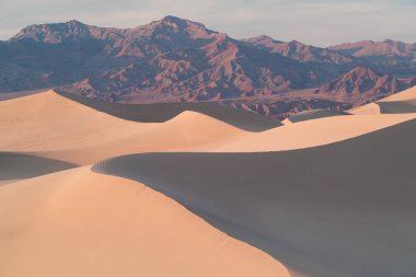 Sabah Erken Güneş ışığı Kum Tepeleri Ve Mesquite düz tepelerde Dağlar, Death Valley Milli Parkı, California Abd Soba Kuyuları kum tepeleri, kum güzel arka plan çok güzel yapılar