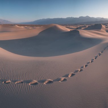 Sabah Erken Güneş ışığı Kum Tepeleri Ve Mesquite düz tepelerde Dağlar, Death Valley Milli Parkı, California Abd Soba Kuyuları kum tepeleri, kum güzel arka plan çok güzel yapılar