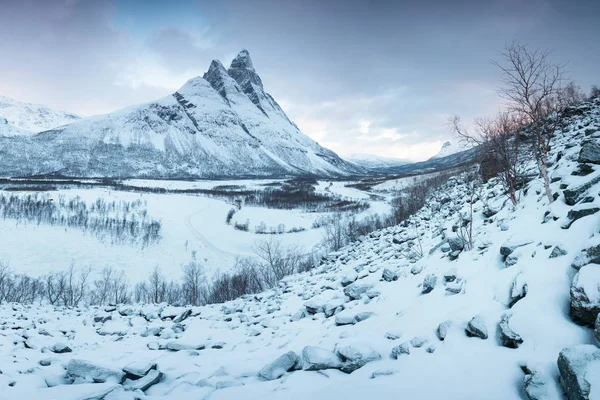 Gyönyörű Táj Jelenet Signaldalelva Folyó Otertinden Mountain Háttérben Észak Norvégiában — Stock Fotó