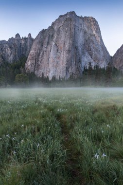 Cathedral Rocks ve Cathedral Spires Kaliforniya Sierra Nevada Dağları, Abd Yosemite Vadisi'nin güney tarafında bulunan uçurumlar, payandalar ve dorukların önemli bir koleksiyon