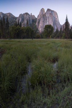 Cathedral Rocks ve Cathedral Spires Kaliforniya Sierra Nevada Dağları, Abd Yosemite Vadisi'nin güney tarafında bulunan uçurumlar, payandalar ve dorukların önemli bir koleksiyon