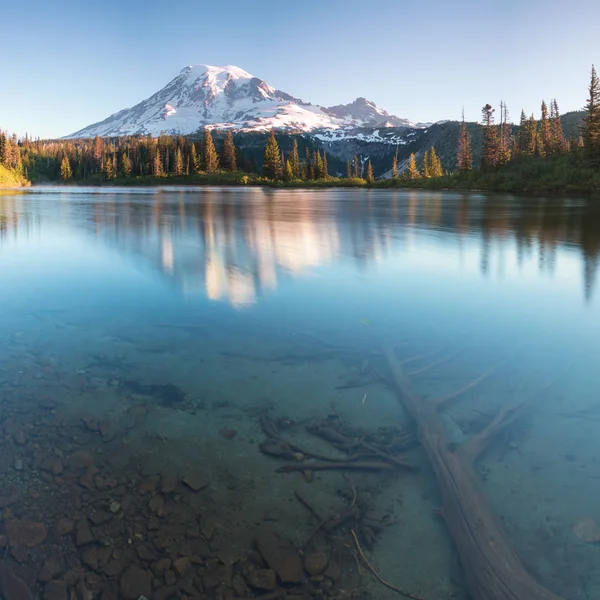 Abd'nin Kaliforniya eyaletinde gün doğumunda göldeki berrak suda shasta dağının karla kaplı bir yansıması. Mount Shasta Siskiyou İlçesi'nde Cascade Aralığı güney ucunda bir yanardağ