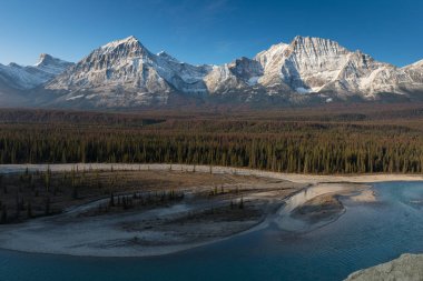 Rocky Dağları, sonbahar günü Kanada 'daki Jasper Ulusal Parkı' nda. Alberta Canada Manzarası Jasper Ulusal Parkı 'nda, Buz Tarlaları Parkı yakınında.