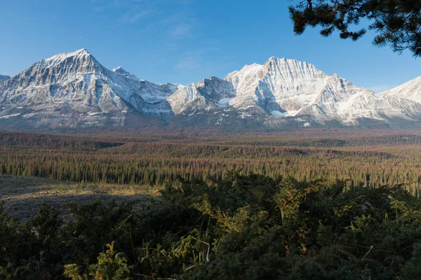 Sziklás Hegyek Ősszel Jasper Nemzeti Park Kanadai Sziklás Hegységben Alberta — Stock Fotó