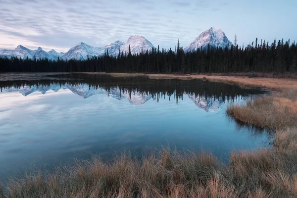 Rocky Mountains Autumn Day Jasper National Park Canadian Rockies Alberta — ストック写真