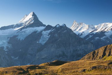 Bachalpsee Gölü 'nün üzerindeki Bernese Sıradağları' nda gün doğumu manzarası. En yüksek tepeler Eiger, Jungfrau ve Faulhorn ünlü yerlerdedir. İsviçre Alpleri, Grindelwald Vadisi. Popüler turist eğlencesi. Avrupa.