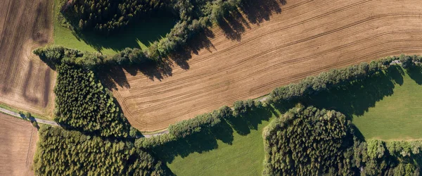 Αεροφωτογραφία Ενός Πράσινου Αγροκτήματος Αγροτικό Δρόμο Που Περνάει Από Μέσα — Φωτογραφία Αρχείου