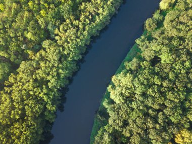 Nehrin en üst manzarası, kıvrımlı kıvrımlar ve parlak güneş ışığında yeşil ormanlar. Parktaki derede, ağaçların arasında. Hava aracı görüntüsü. Yaz ya da sonbahar zamanı. Etrafı yeşil ormanlarla çevrili..