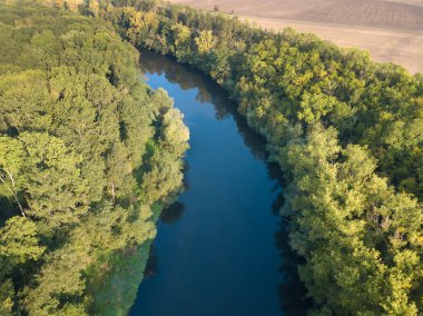 Nehrin en üst manzarası, kıvrımlı kıvrımlar ve parlak güneş ışığında yeşil ormanlar. Parktaki derede, ağaçların arasında. Hava aracı görüntüsü. Yaz ya da sonbahar zamanı. Etrafı yeşil ormanlarla çevrili..