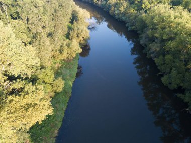 Nehrin en üst manzarası, kıvrımlı kıvrımlar ve parlak güneş ışığında yeşil ormanlar. Parktaki derede, ağaçların arasında. Hava aracı görüntüsü. Yaz ya da sonbahar zamanı. Etrafı yeşil ormanlarla çevrili..