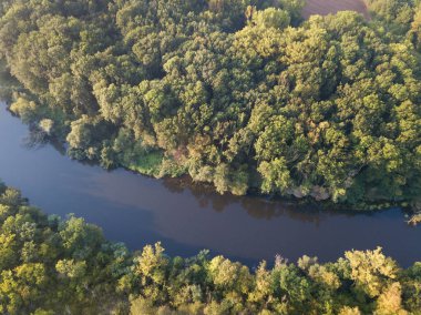 Nehrin en üst manzarası, kıvrımlı kıvrımlar ve parlak güneş ışığında yeşil ormanlar. Parktaki derede, ağaçların arasında. Hava aracı görüntüsü. Yaz ya da sonbahar zamanı. Etrafı yeşil ormanlarla çevrili..