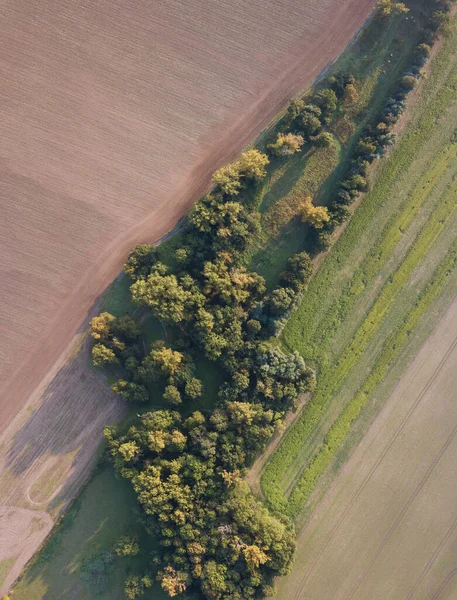 Grüne Felder Wiesen Und Berge Vor Der Ernte Drohnen Aus — Stockfoto