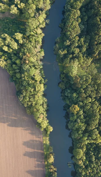 Top View River Turns Meanders Green Forests Bright Sunlight Creek — Stock Photo, Image