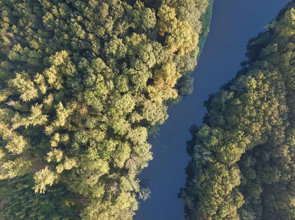 Górny Widok Rzekę Zakrętami Meandrów Zielonych Lasów Jasnym Słońcu Strumień — Zdjęcie stockowe