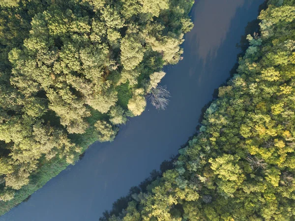Nehrin en üst manzarası, kıvrımlı kıvrımlar ve parlak güneş ışığında yeşil ormanlar. Parktaki derede, ağaçların arasında. Hava aracı görüntüsü. Yaz ya da sonbahar zamanı. Etrafı yeşil ormanlarla çevrili..