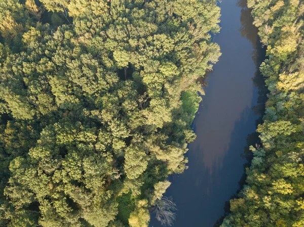 Górny Widok Rzekę Zakrętami Meandrów Zielonych Lasów Jasnym Słońcu Strumień — Zdjęcie stockowe