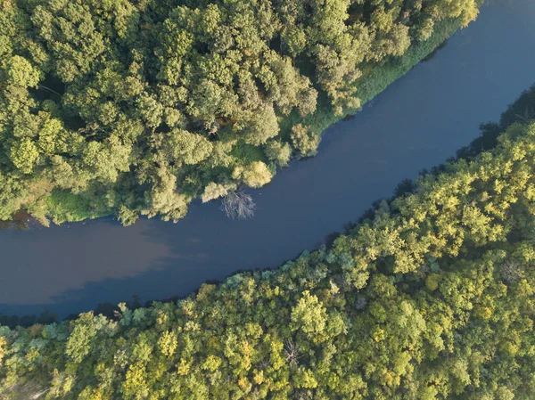 Top View River Turns Meanders Green Forests Bright Sunlight Creek — Stock Photo, Image