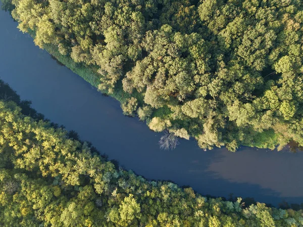 Top View River Turns Meanders Green Forests Bright Sunlight Creek — Stock Photo, Image