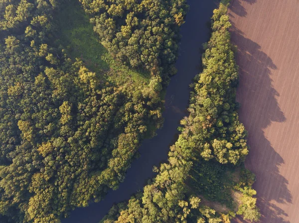 Nehrin Üst Manzarası Kıvrımlı Kıvrımlar Parlak Güneş Işığında Yeşil Ormanlar — Stok fotoğraf