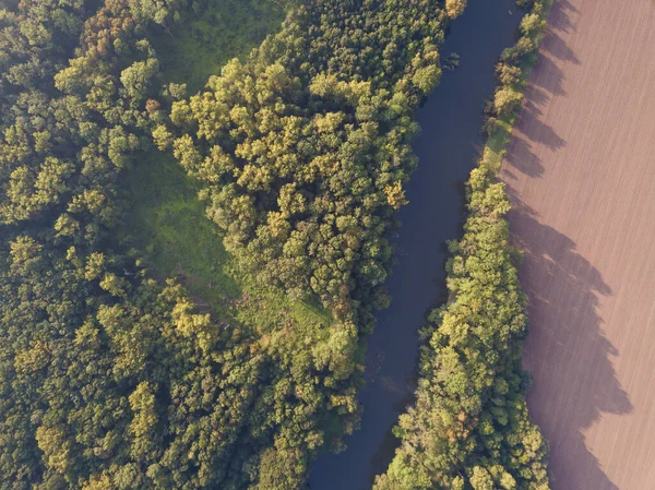 Top View River Turns Meanders Green Forests Bright Sunlight Creek — Stock Photo, Image