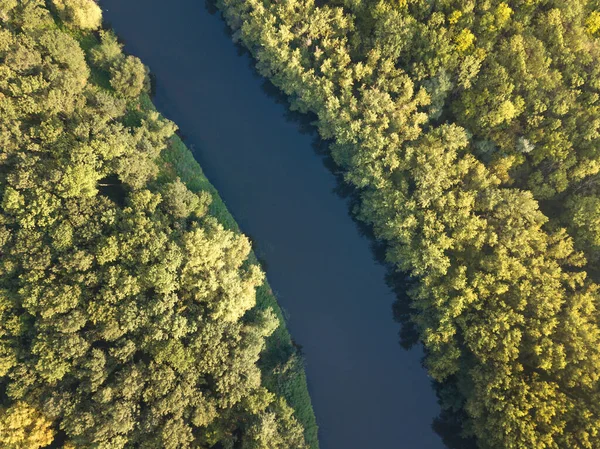 Horní Pohled Řeku Zatáčkami Meandry Zelenými Lesy Jasném Slunečním Světle — Stock fotografie