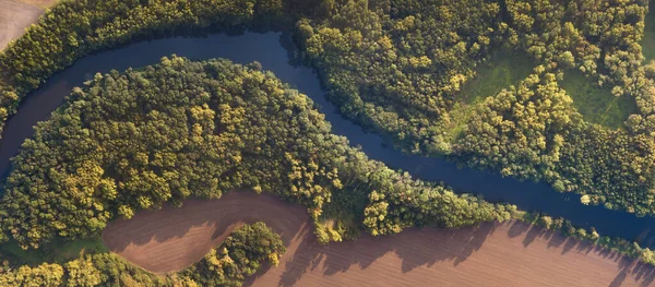 Nehrin Üst Manzarası Kıvrımlı Kıvrımlar Parlak Güneş Işığında Yeşil Ormanlar — Stok fotoğraf