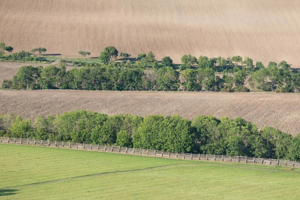 Grüne Felder Wiesen Und Berge Vor Der Ernte Drohnen Aus — Stockfoto