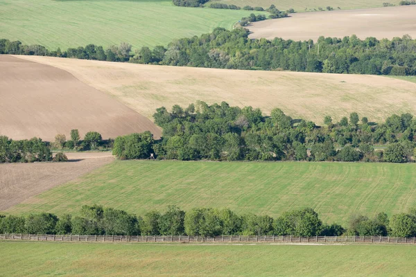 Grüne Felder Wiesen Und Berge Vor Der Ernte Drohnen Aus — Stockfoto