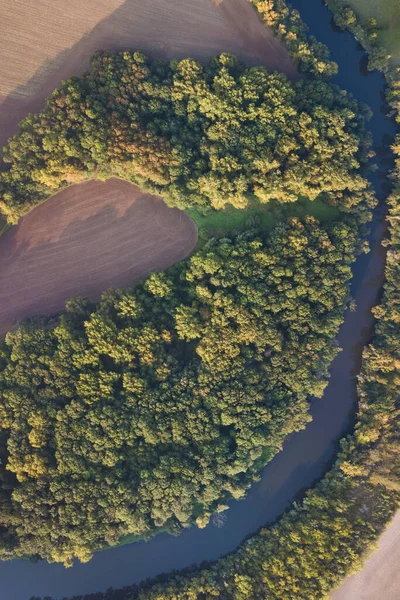Top view of the river with turns of meanders and green forests in bright sunlight. Creek in the park among the trees. Aerial drone view. Summer or autumn time. Stream surrounded by green forest.