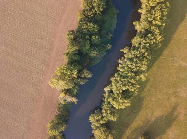 Top view of the river with turns of meanders and green forests in bright sunlight. Creek in the park among the trees. Aerial drone view. Summer or autumn time. Stream surrounded by green forest.