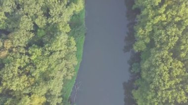 Nehrin en üst manzarası, kıvrımlı kıvrımlar ve parlak güneş ışığında yeşil ormanlar. Parktaki derede, ağaçların arasında. Hava aracı görüntüsü. Yaz ya da sonbahar zamanı. Etrafı yeşil ormanlarla çevrili..