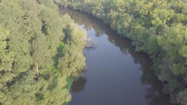 Top View River Turns Meanders Green Forests Bright Sunlight Creek — Stock Video