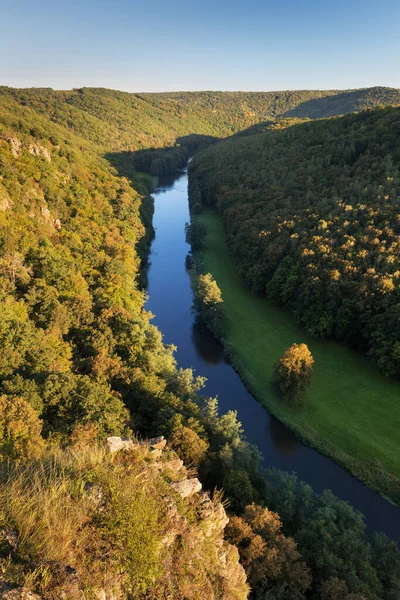 Top view of the river with turns of meanders and green forests in bright sunlight. Creek in the park among the trees. Aerial drone view. Summer or autumn time. Stream surrounded by green forest.
