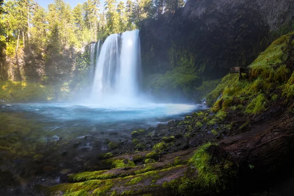 Koosah Falls Ook Bekend Als Middle Falls Een Van Drie — Stockfoto