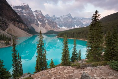 Banff Ulusal Parkı 'ndaki ilk kar sabahı Alberta Kanada' da kış atmosferinde karla kaplıydı. Güzel bir arka plan fotoğrafı. Kayak sezonuna başla.