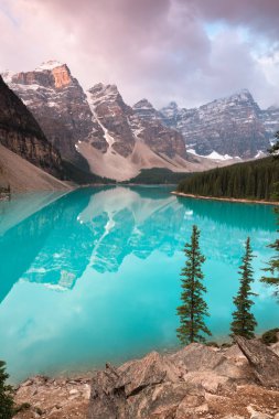 Banff Ulusal Parkı 'ndaki ilk kar sabahı Alberta Kanada' da kış atmosferinde karla kaplıydı. Güzel bir arka plan fotoğrafı. Kayak sezonuna başla.