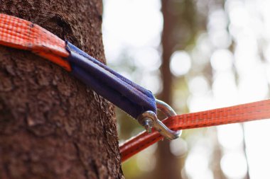İp halat askısı için gerekli ekipman makinenin yanında ve ağaç için koruma. Sonbahar ormanlarında renkli bir ip. Spor. Şehir parkında dar bir ip ya da açık bir ip..