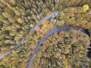 Sonbahar ormanı ve küçük derenin havadan görünüşü. Nehir boyunca dağlarda yol boyunca yeşil ve renkli ormanlarla kaplı, üst manzara. Güneşli bir gün. Görüntü gökyüzünden.