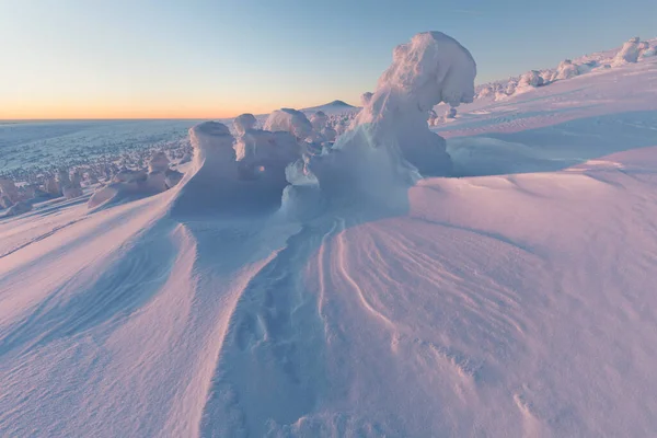 Viene Invierno Primera Nieve Vista Aérea Del Bosque Pinos Cubierto —  Fotos de Stock