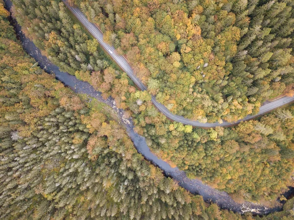Vue Aérienne Forêt Automne Petit Ruisseau Chemin Long Rivière Dans — Photo