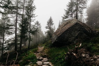 Gran Paradiso dağcılık