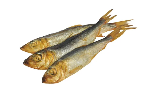 üç küçük füme hamsi beyaz arka plan üzerinde izole