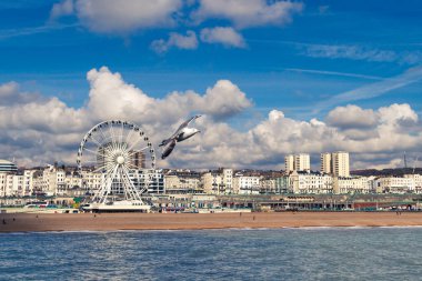 Brighton Plajı üzerinde bulutlu gökyüzü üzerinde uçan martı