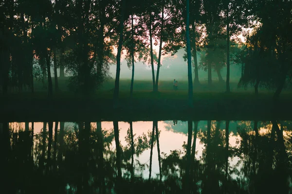 Réflexion forestière dans un petit lac le matin brumeux — Photo