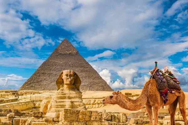 De Sphinx och Pyramid och Camel, Kairo, Egypten,, av sfinxen i giza. — Stockfoto